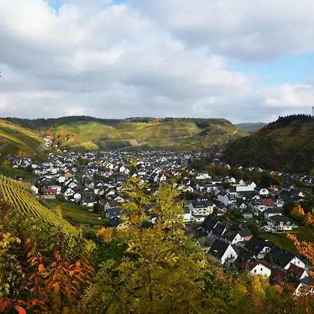 Winzer Lounge 德尔瑙