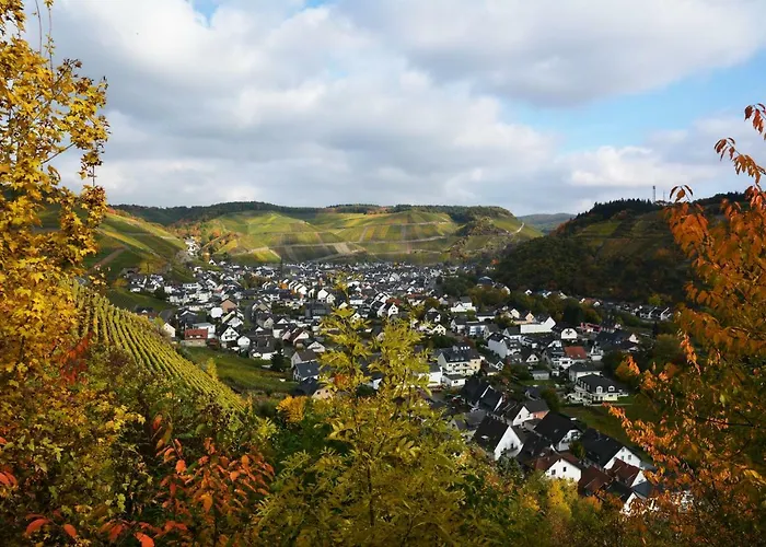 Winzer Lounge デルナウ